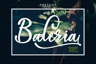 Baleria Script: A Modern Handwritten Typeface Review