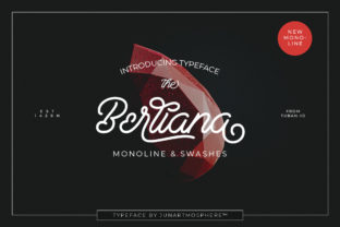 Berliana Script: Elegant Handwritten Font Review