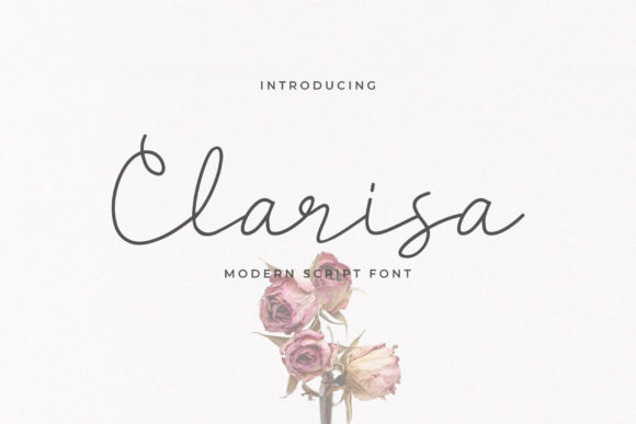 Clarisa Script: A Bold, Fun Typeface for Small Business Branding