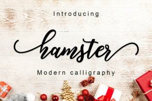 Hamster Script: A Creative Review for Small Business Branding