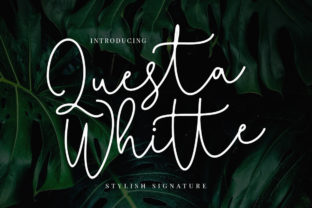 Questa Whitte Script: A Handwritten Signature Font for Modern Branding
