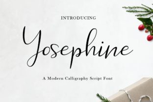 Yosephine Script Typeface for Brand Identity